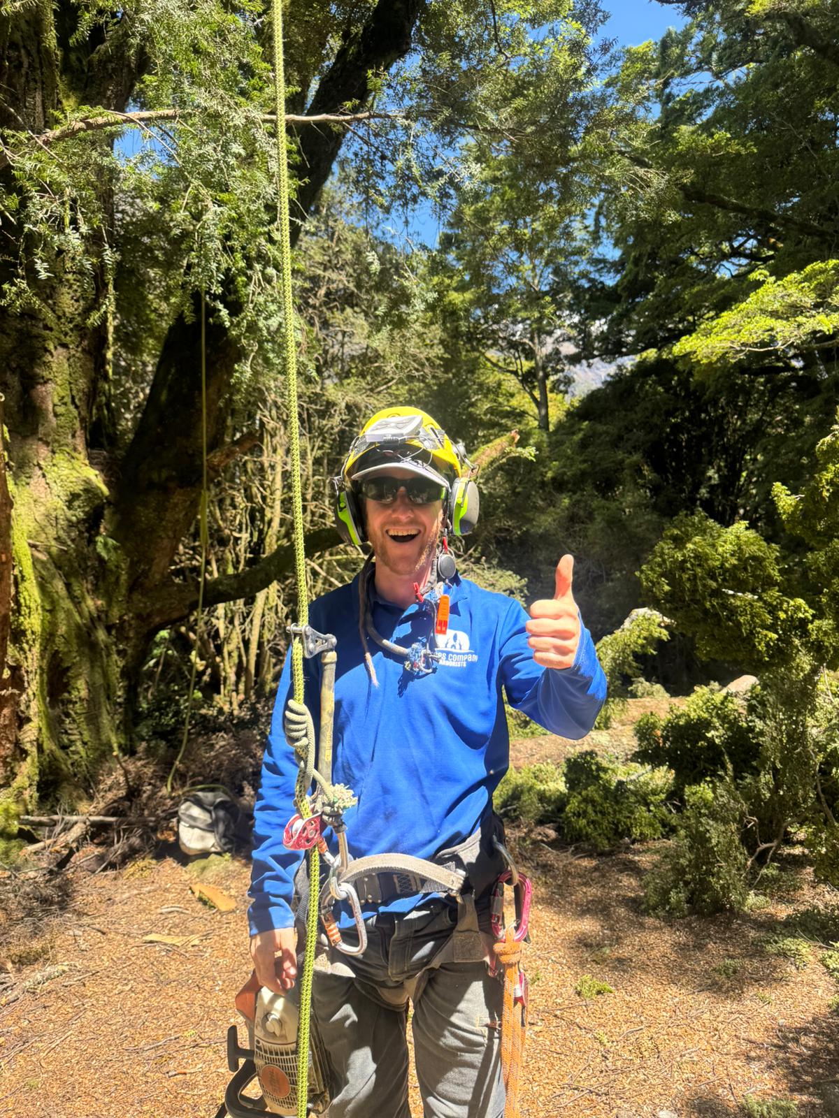 An arborist in a helmet and blue shirt giving a thumbs up in a mossy garden, a pole saw in hand