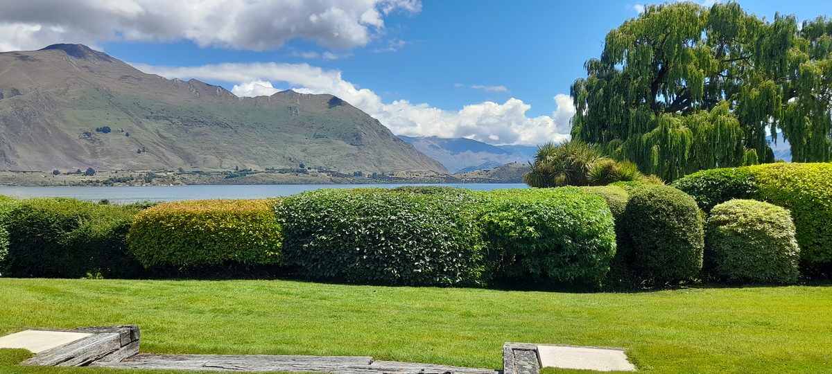 A long clipped hedge across a lawn with Lake Wanaka and the mountains behind it