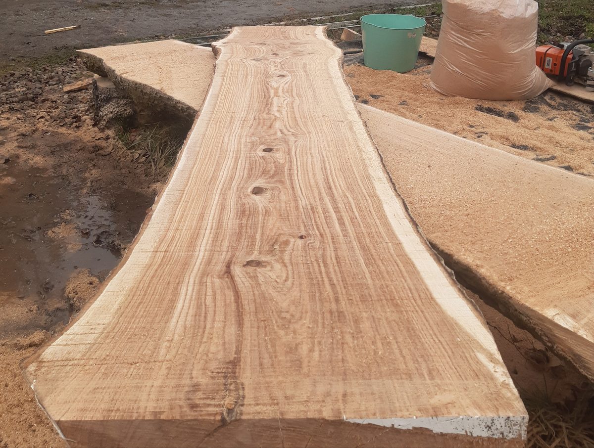 A long slab of freshly milled timber lying on the ground, a chainsaw and a bag of sawdust beside it