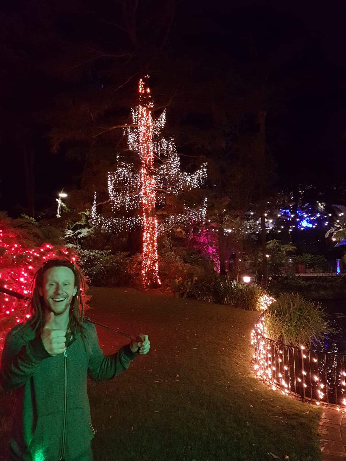 A tree wrapped in strings of fairy lights at night, a man giving a thumbs up in front of it