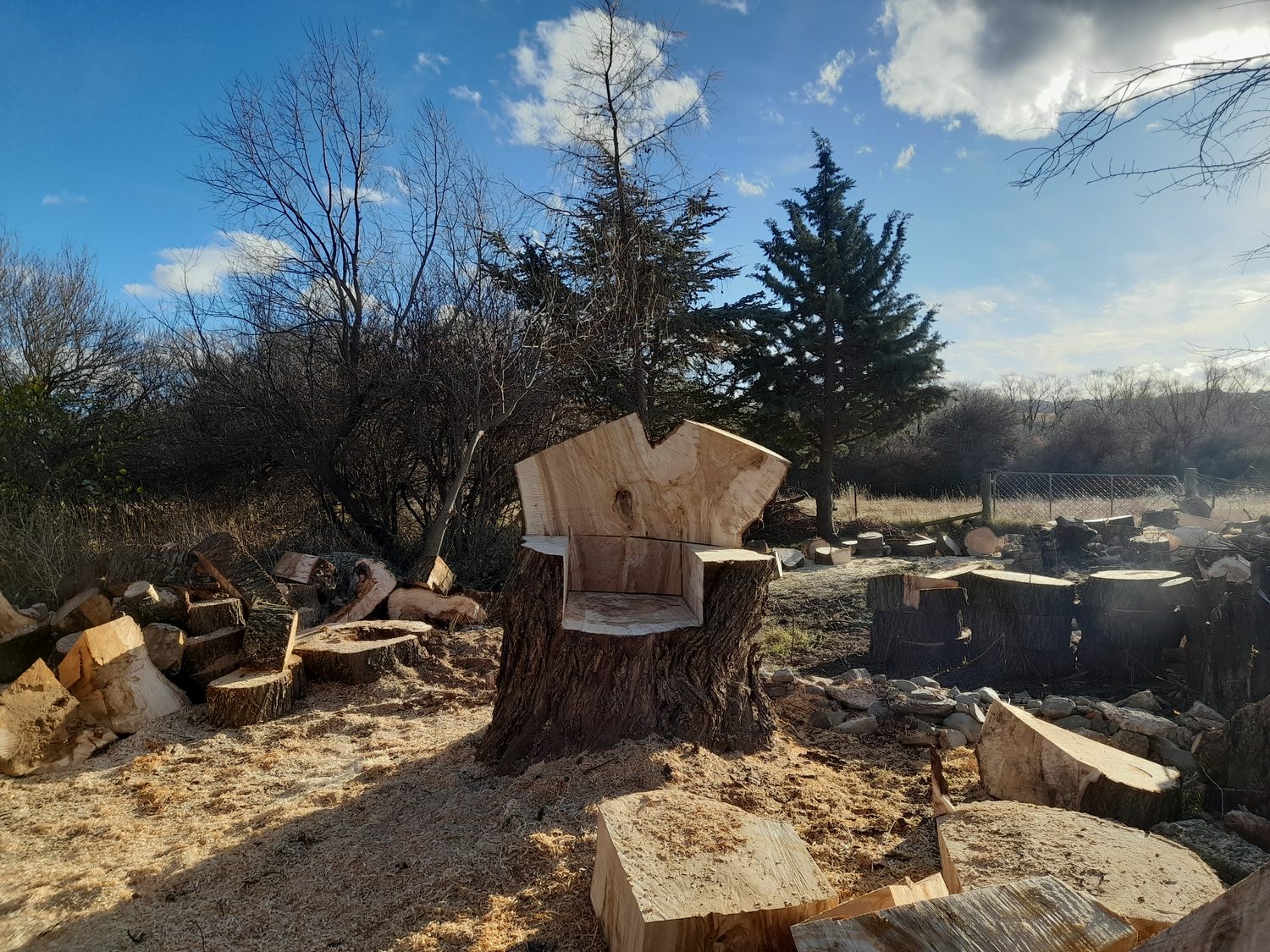 A seat carved with a chainsaw out of a tree stump, sawn rounds and split firewood around it