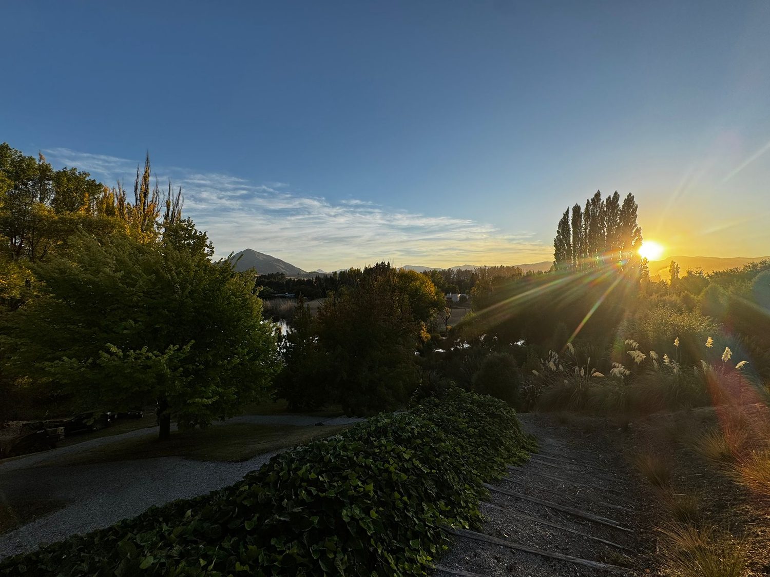 Sunset over a garden with clipped hedges and tall poplars, the lake beyond