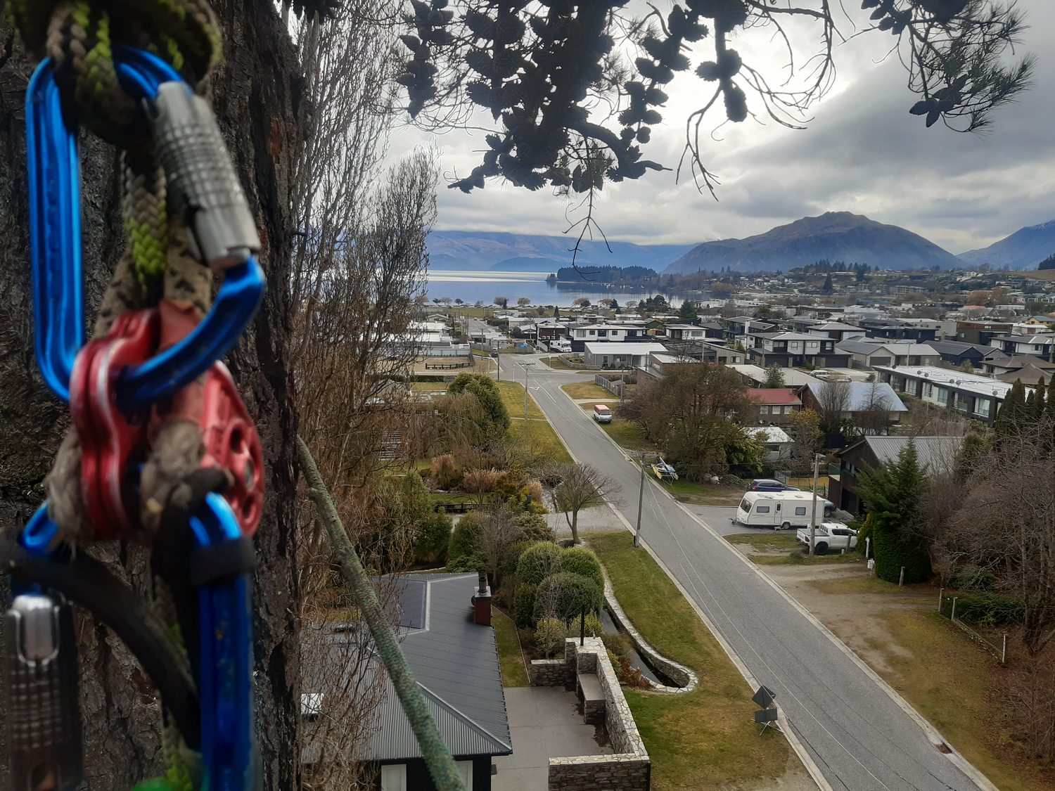 Looking out from high in a tree over Wanaka's rooftops to the lake and mountains, climbing ropes and karabiners in the foreground