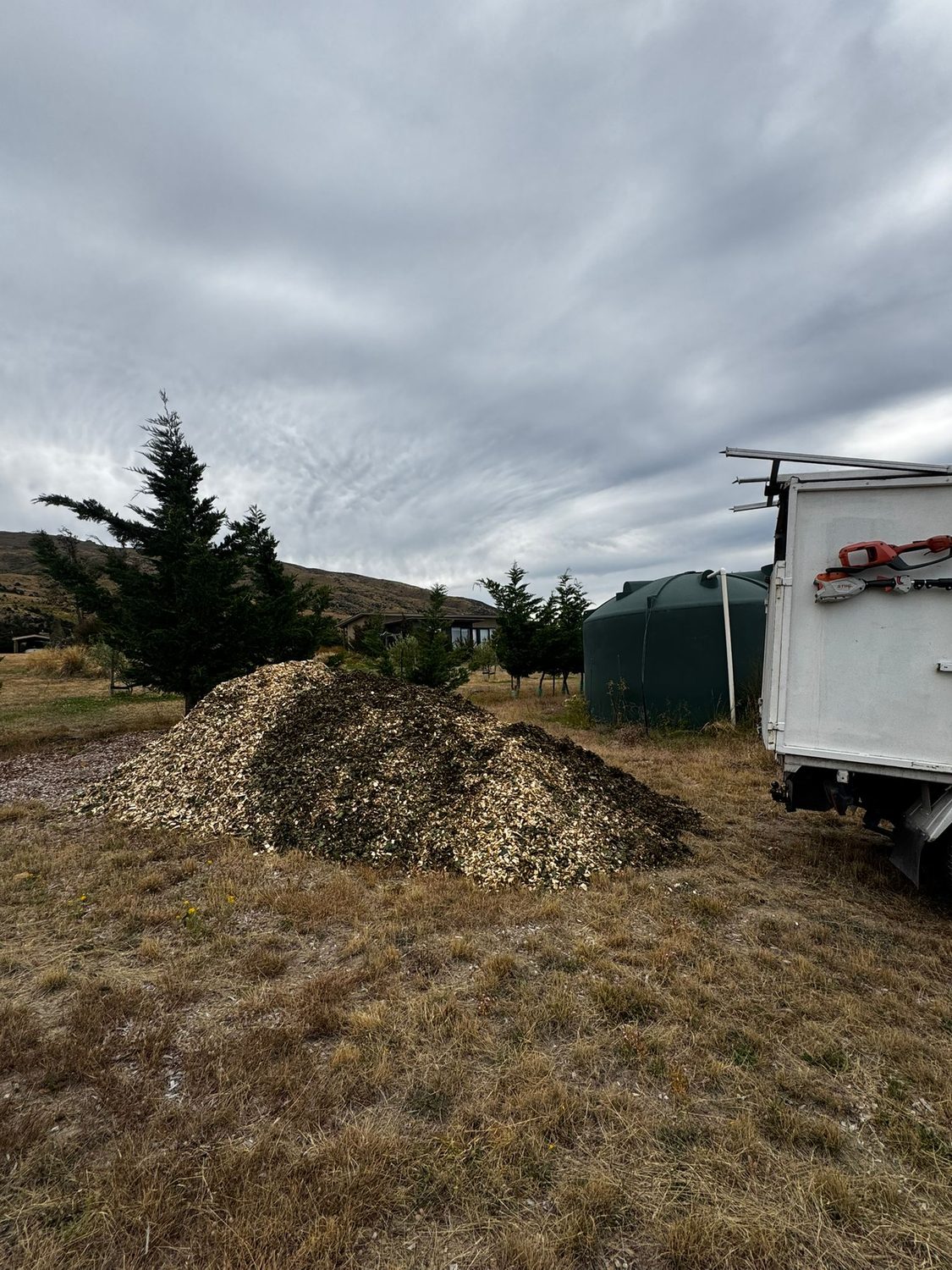 A pile of fresh wood chip on a grassy section beside a work truck, under a cloudy sky