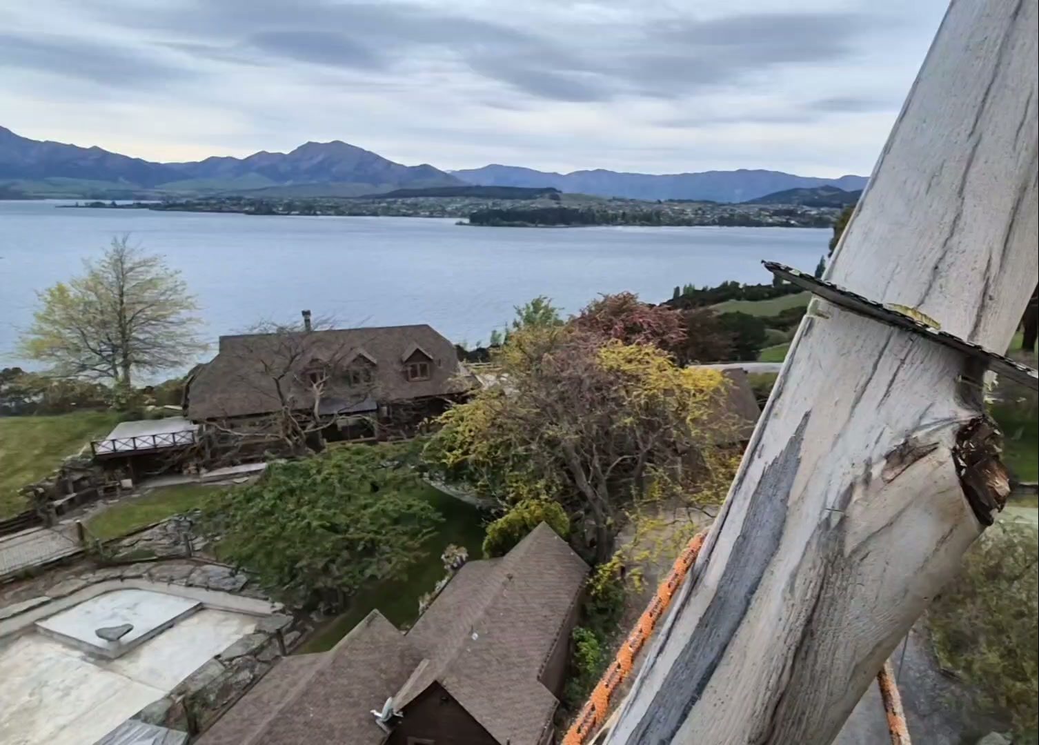 Looking out from high in a gum tree over Lake Wanaka and the mountains, the pale trunk with a fresh cut in the foreground