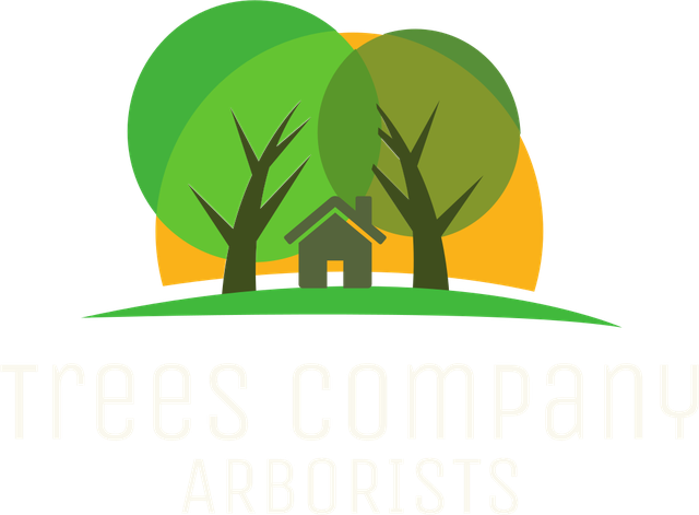 Trees Company Arborists