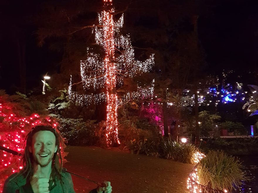 A tree wrapped in strings of fairy lights at night, a man giving a thumbs up in front of it